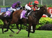 Super Easy<br>Photo by Singapore Turf Club